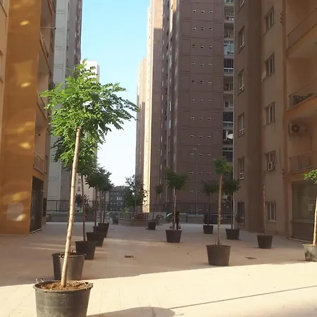 C339 Apartamento *